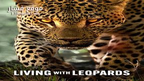 فيلم Living with Leopards 2024 مترجم