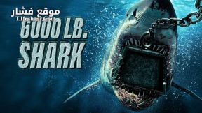 فيلم 6000lb shark 2024 مترجم