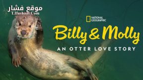فيلم Billy & Molly: An Otter Love Story 2024 مترجم
