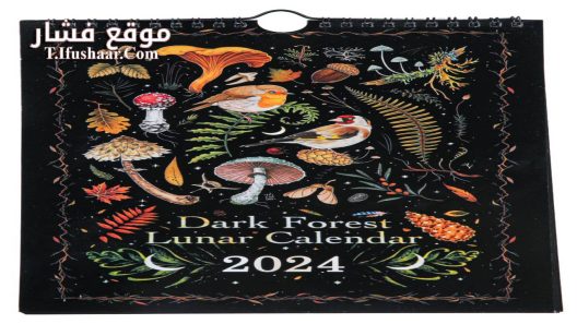 فيلم Dark Forest 2024 مترجم