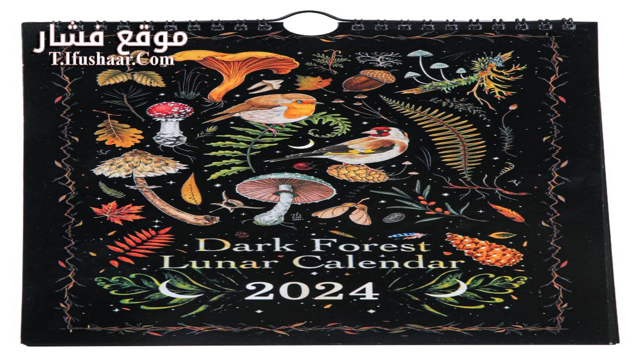 فيلم Dark Forest 2024 مترجم