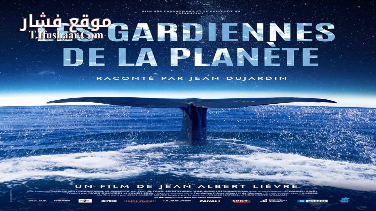 فيلم Whale Nation 2023 مترجم