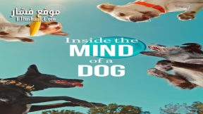 فيلم Inside the Mind of a Dog 2024 مترجم
