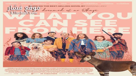 فيلم What You Can See from here 2022 مترجم