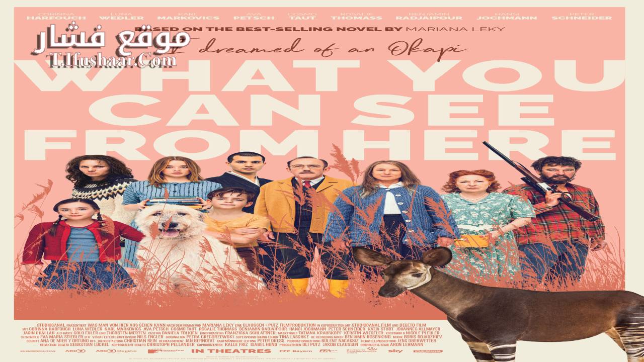 فيلم What You Can See from here 2022 مترجم