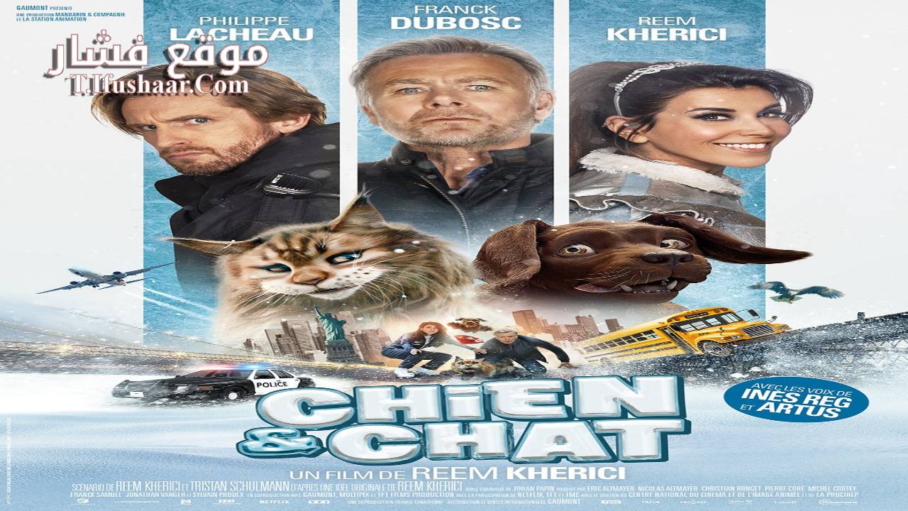 فيلم Chien et chat 2024 مترجم