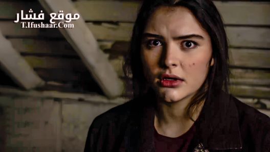 فيلم Amityville: Where the Echo Lives 2024 مترجم