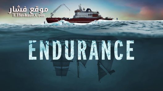 فيلم Endurance 2024 مترجم