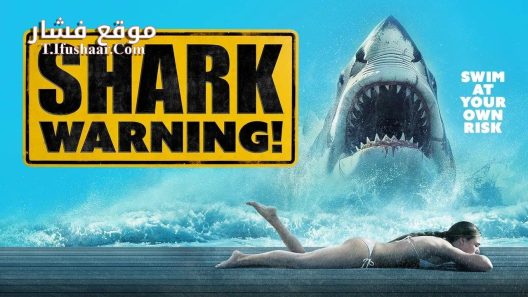 فيلم Shark Warning 2024 مترجم