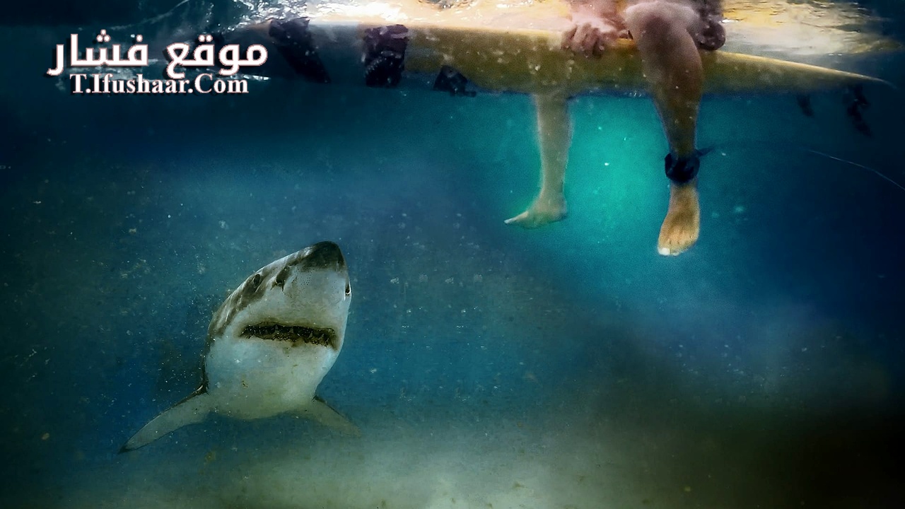 فيلم After the Bite 2023 مترجم