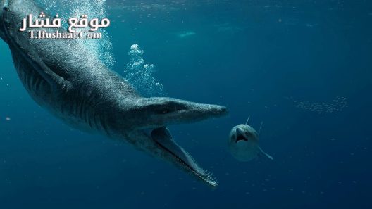 فيلم Attenborough and the Giant Sea Monster 2024 مترجم
