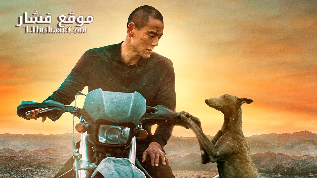 فيلم Black Dog 2024 مترجم