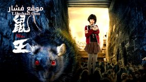 فيلم EVIL OF THE RAT 2025 مترجم