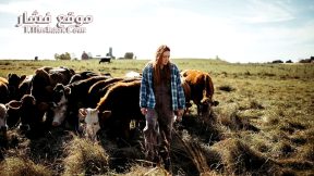 فيلم Green and Gold 2025 مترجم