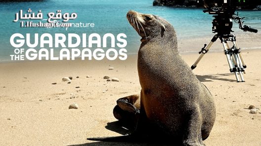 فيلم Guardians of the Galapagos 2025 مترجم