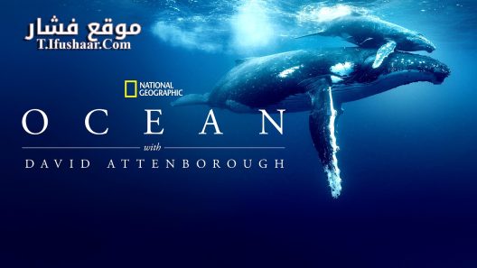 فيلم Ocean with David Attenborough 2025 مترجم