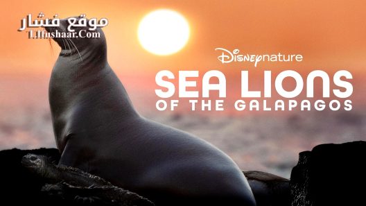 فيلم Sea Lions of the Galapagos 2025 مترجم