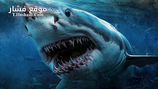فيلم Shark Island 2024 مترجم