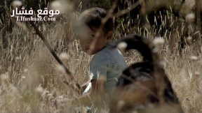 فيلم Sujo 2024 مترجم