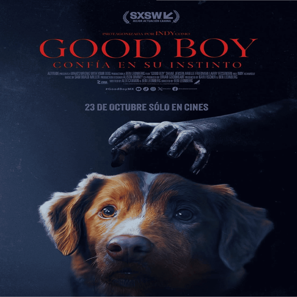 فيلم Good Boy 2025 مترجم