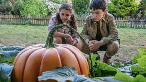 فيلم Grow 2025 مترجم