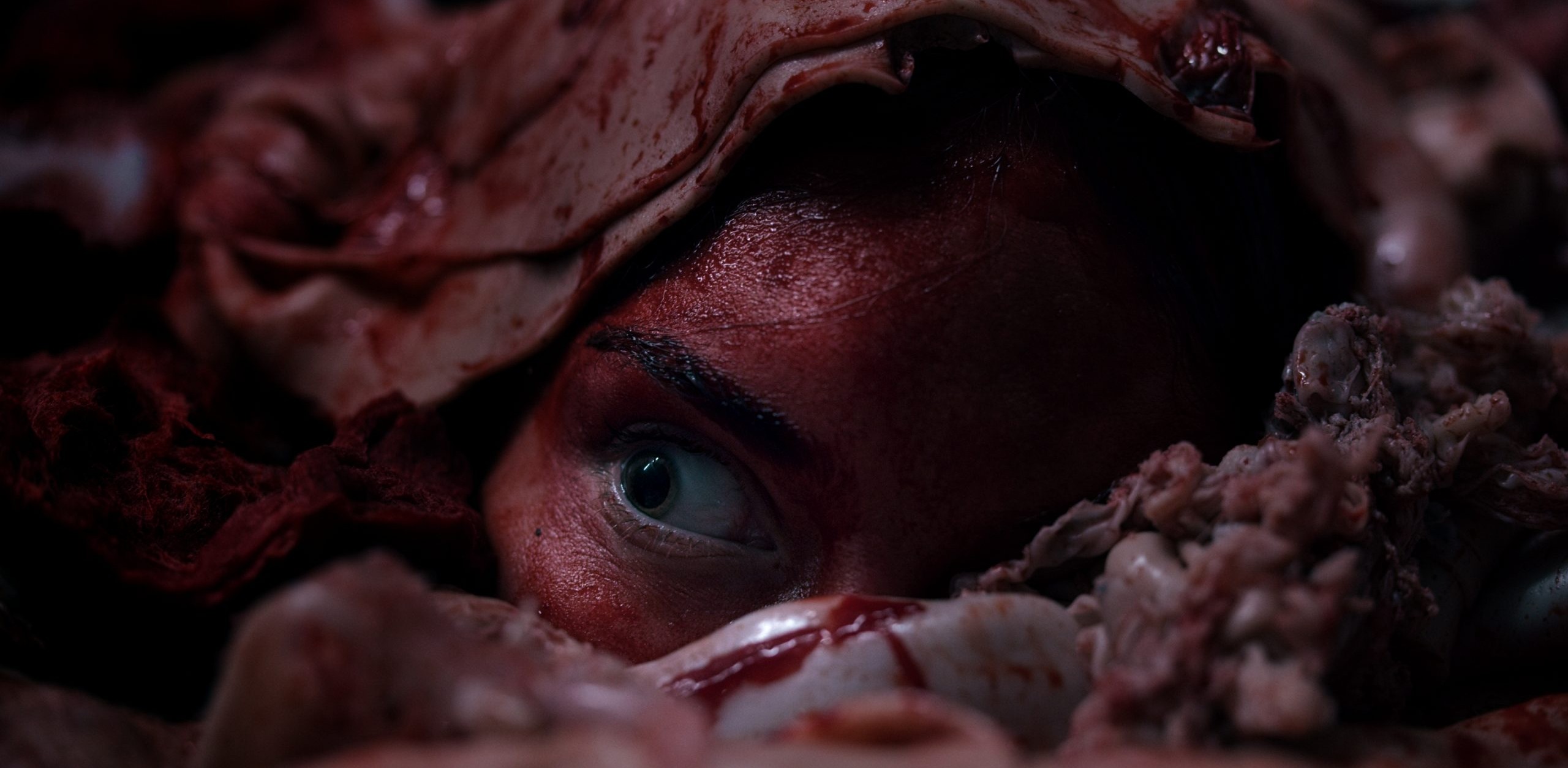 فيلم Vleesdag 2025 مترجم