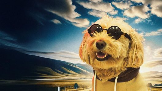 فيلم Dog Fugitive 2025 مترجم