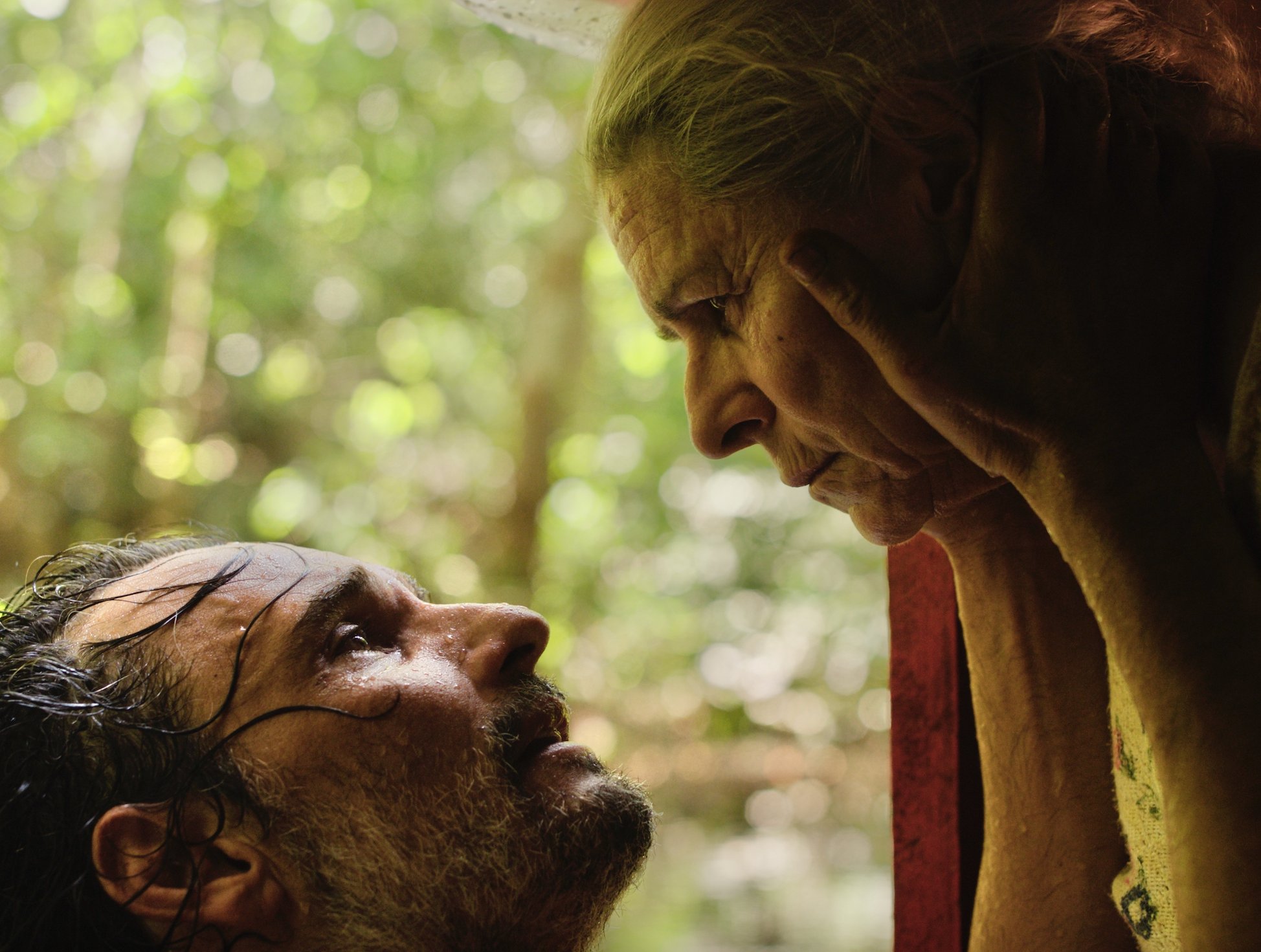 فيلم The Blue Trail 2025 مترجم