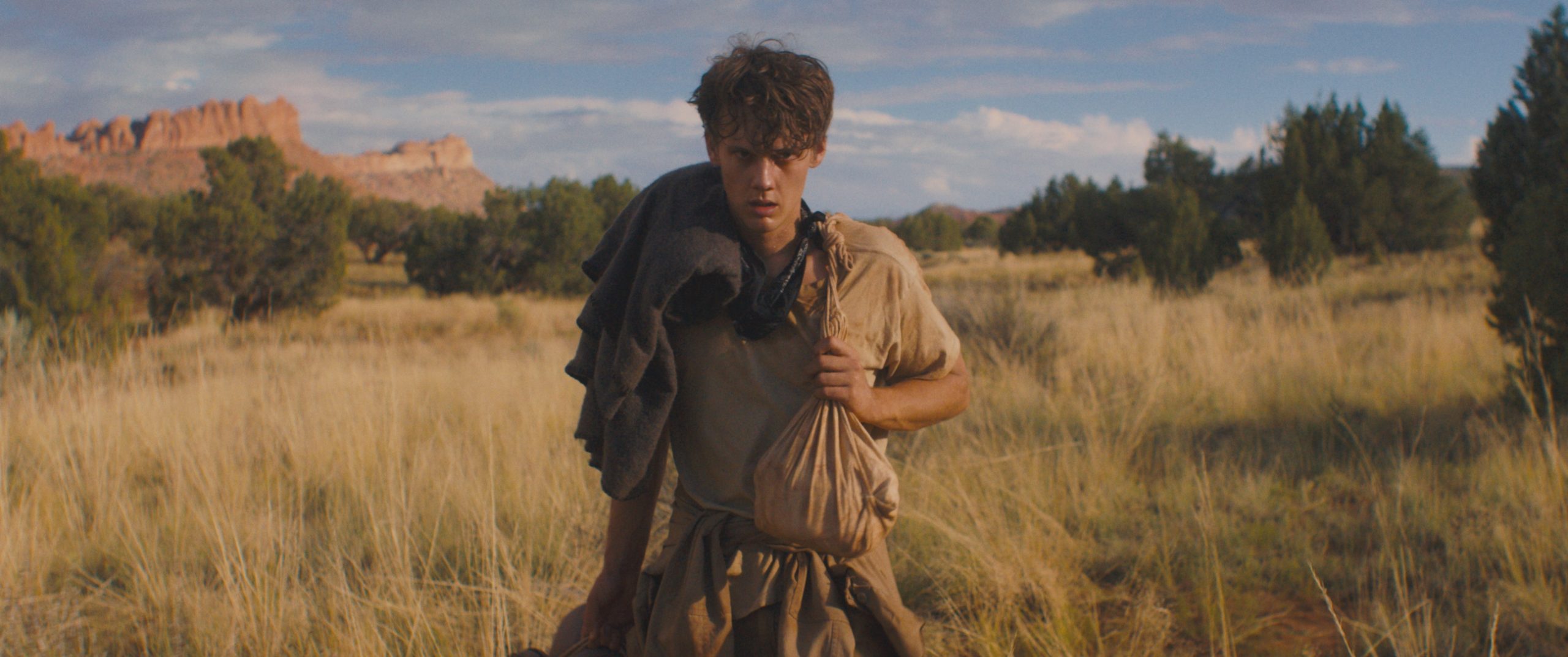 فيلم The Wilderness 2025 مترجم