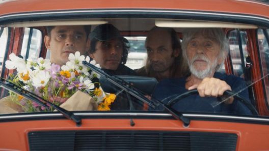 فيلم Feles 2024 مترجم