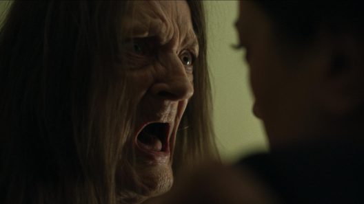 فيلم Hemmet 2025 مترجم