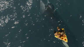 فيلم Killer Whale 2026 مترجم