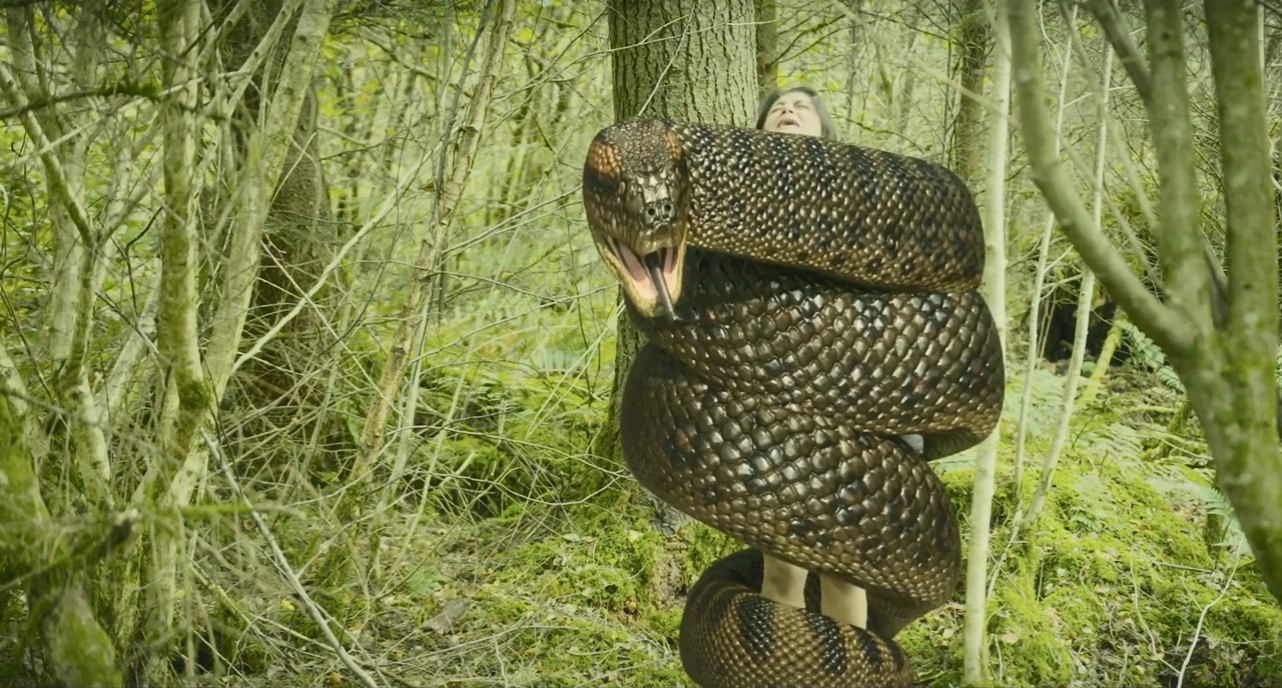 فيلم Anaconda: Blood Coil 2026 مترجم