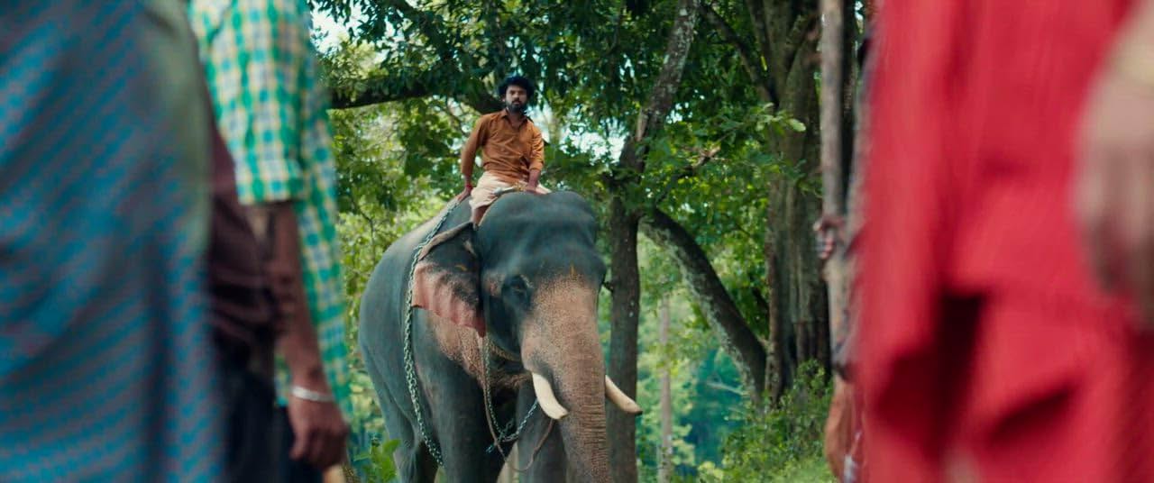 فيلم Mahasenha 2025 مترجم