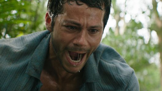 فيلم Send Help 2026 مترجم