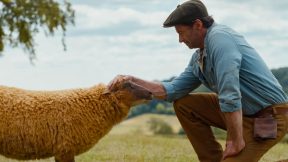 فيلم The Sheep Detectives 2026 مترجم